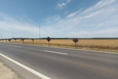 Teren Vanzare Intravilan Branesti - Investitie Zona Industriala Vis a Vis Makita - 28