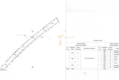 Teren în Poieni - 2