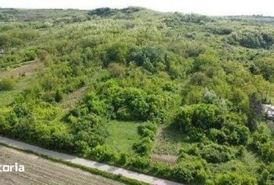 Teren de 4740 mp, în Bălteni - 5