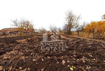 Teren 1000mp Cu Utilitati Dudesti Noi - 2