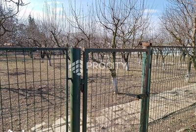 Casă cu 5 camere cu Teren 2830 Mp în Moțca - 2