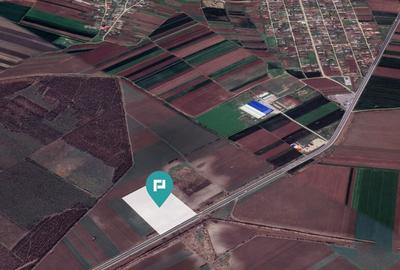 Teren de 48300 mp, în Glina