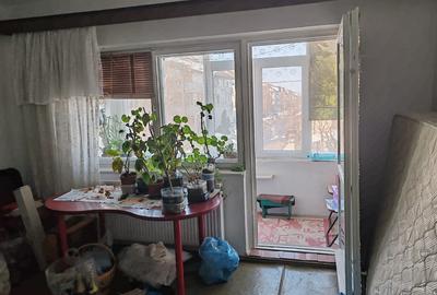 Pantelimon centru, langa scoala - 4