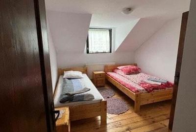 Cabana de 210mp, 2600 mp teren, in Rachitele - 2