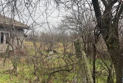 Teren intravilan 3367 mp cu casa demolabile 54 mp puț existent! - 9