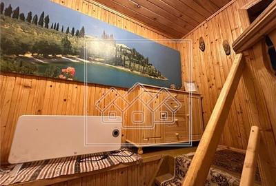 Casa de vanzare in Cartisoara, Transfagarasan - 8 camere, teren 971 mp - 24