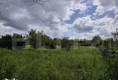 Teren de 860 mp, în Podgoria - 11