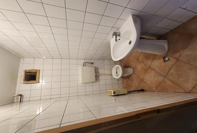 Inchiriez casa pentru birouri zona Aradului - 20