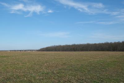 Teren în Găneasa - 2