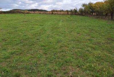 Spațiu comercial, în Central - 5