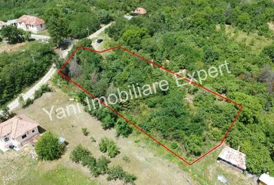 Teren de 2270 mp, în Valea Brazilor - 8