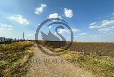 Teren extravilan de vanzare | 9882mp | Berceni - Prahova ... - 1