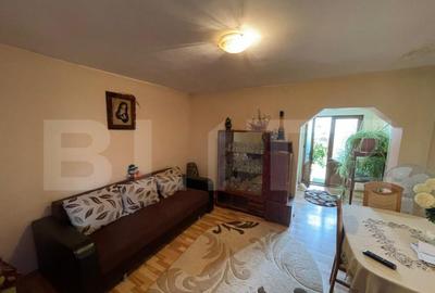 Casa solida pe Bld. Ecaterina Teodoroiu Targu Jiu - 5