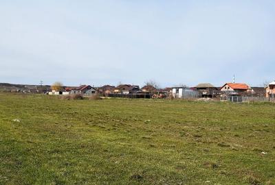 Teren de 6000 mp, în Centură - 2