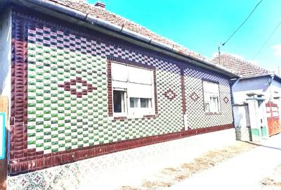 Casă cu 3 camere în Socodor - 1