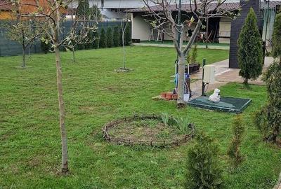 Casă cu Teren 540 Mp în Milcov - 1
