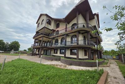 De vanzare proprietate unicat in Sascut - Bacau - 6