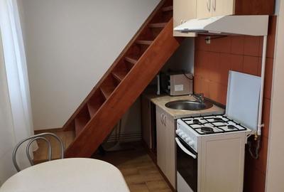 Apartament cu 2 camere decomandat în Podu Roș - 2
