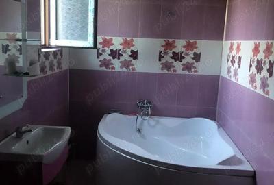 Casa de Vanzare Valea Nucarilor - 4