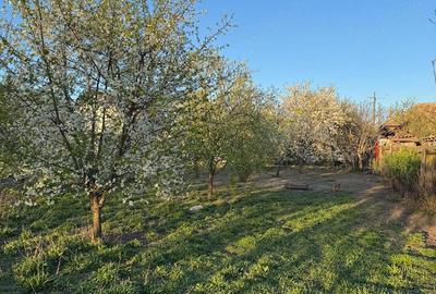 Casă cu 3 camere în Central - 3