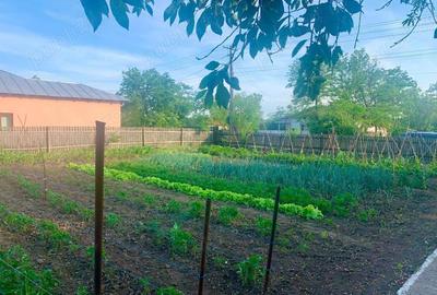 Casă cu 5 camere în Băile - 1