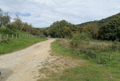 Teren de 30000 mp, în Central - 4