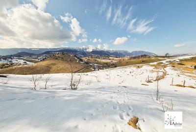 Teren De Vanzare In Sirnea - 11