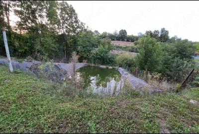 Casă cu 2 camere cu Teren 2000 Mp în Dumbrava (Unirea) - 4