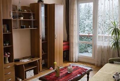 2 camere decomandate,mobilat,utilat,aer conditionat,2 balcoane, Cornisa,Targu Mu - 1