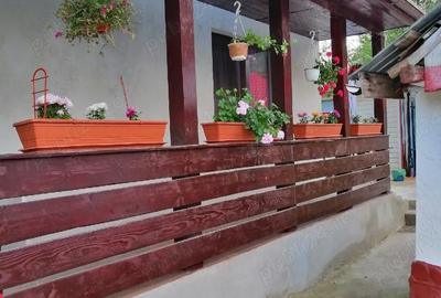 Casă cu 2 camere cu Teren 610 Mp în Hârja - 3