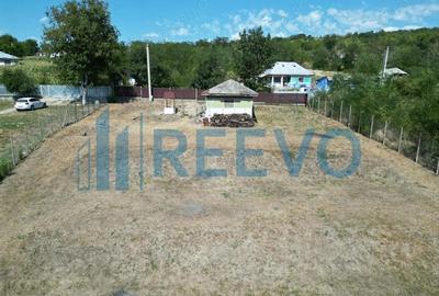 Casă cu 2 camere cu Teren 1425 Mp în Parincea - 4