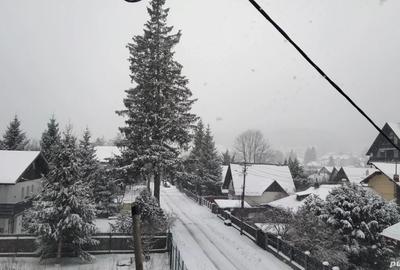 Apartament superb cu vedere la mun?i! - 6