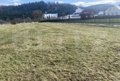 Teren de 12500 mp, în Coșna