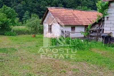 Casa bătrânească de vânzare | 4 camere | Hunedoara | Micănești - 34