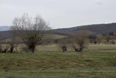 Codlea vanzare teren 73eur/mp - 5