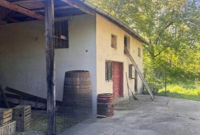 Casă cu 4 camere în Vlădești - 1