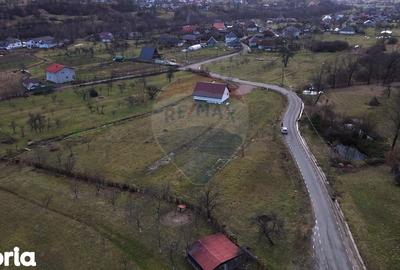 Teren de 2007 mp, în Șișești - 4