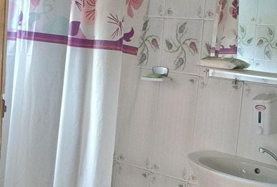 Casă cu 3 camere în Muntele Săcelului - 2