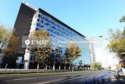 Spațiu comercial, de 150 mp, în Victoriei - 6