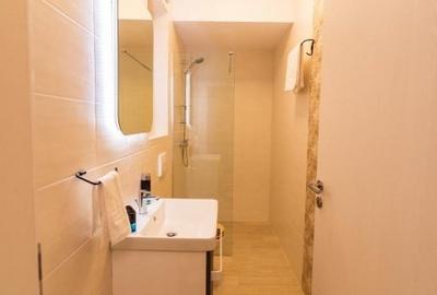 Inchiriere Garsoniera deosebita vedere lac disponibila extrasezon - 10