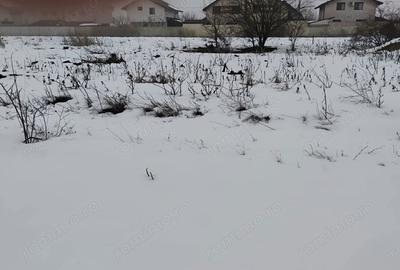 Teren de 537 mp, în Berceni