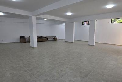 Spațiu comercial, de 350 mp, în Sălăjan - 9
