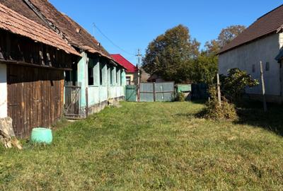 Casă cu 3 camere în Domnești