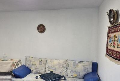 Casă cu 3 camere cu Teren 2250 Mp în Cerașu - 12
