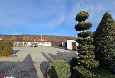 Casă cu Teren 1892 Mp în Sud - 7