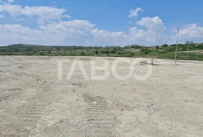 Teren de 40000 mp, în Teiu - 2