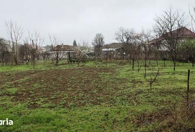 Casă cu Teren 1856 Mp în Central - 7
