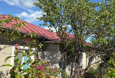 Casă cu 4 camere în Central - 1