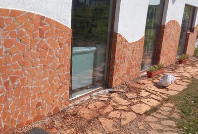 Casă cu 6 camere în Herina - 4