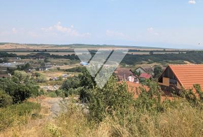 Teren intravilan 1670 mp cu vedere spre lacuri Ocna Sibiului - 6